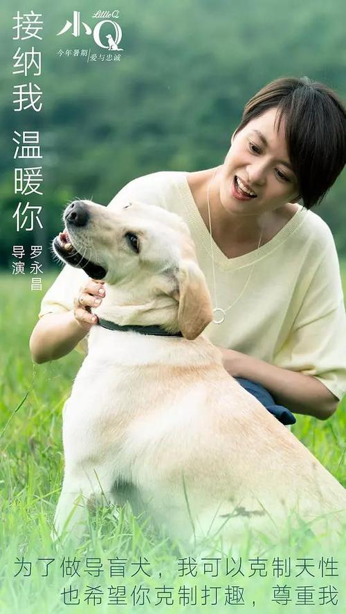 哪里能办浙商银行定期存单